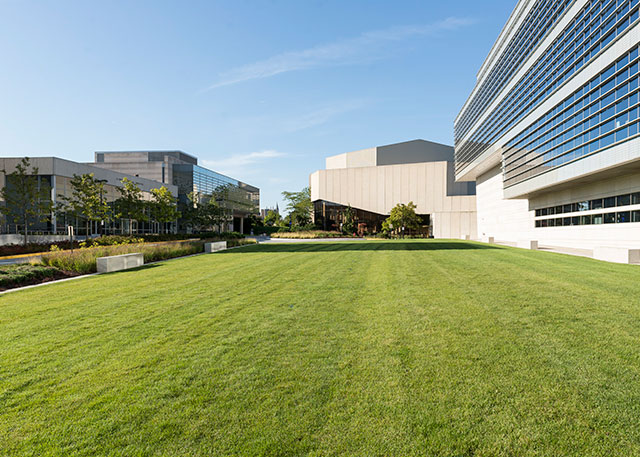 Photo of the Arts Green